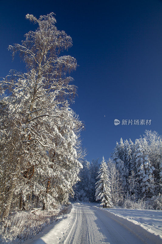 芬兰的冬日路(乡村)