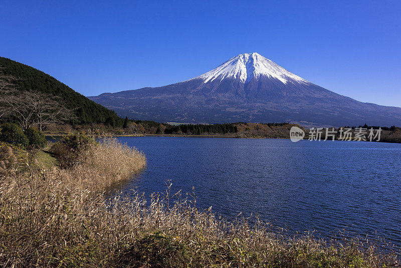 富士山和狸猫湖，日本，静冈县，富士宫，静冈县