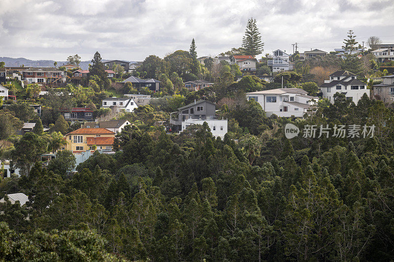 房地产背景-房屋在奥克兰，新西兰