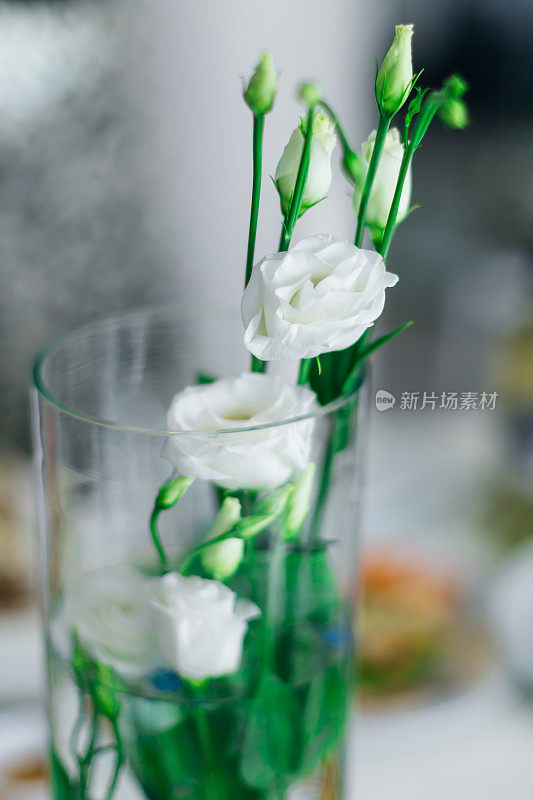透明花瓶的特写与精致的白玫瑰。婚礼r