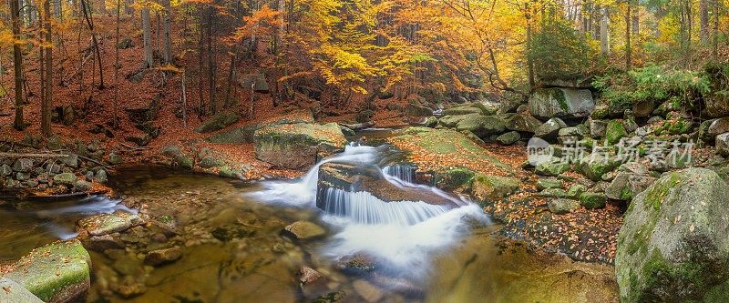 瀑布在秋天的颜色。山中的自然。色彩斑斓的森林景观。瀑布从山上流下的秋天景观。五彩缤纷的秋景。森林里五颜六色的树叶。自然森林中瀑布瀑布的水流