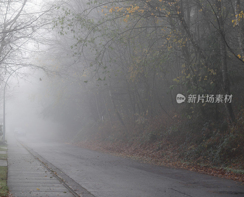 加拿大森林边缘城市街道上的雾