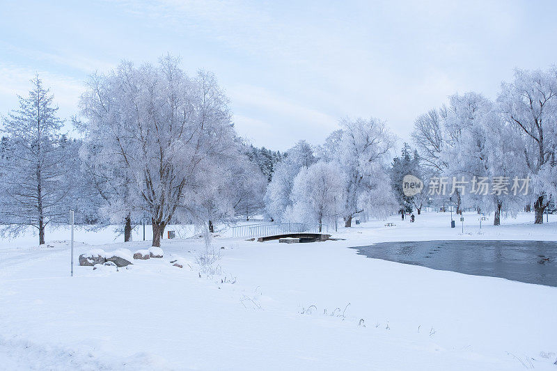 冬天的风景。冰雪覆盖的树木，城市公园里湖面上的雪堆和冰。拉赫蒂寒冷的冬日。