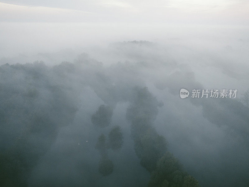 秋天鸟瞰的雾蒙蒙的森林