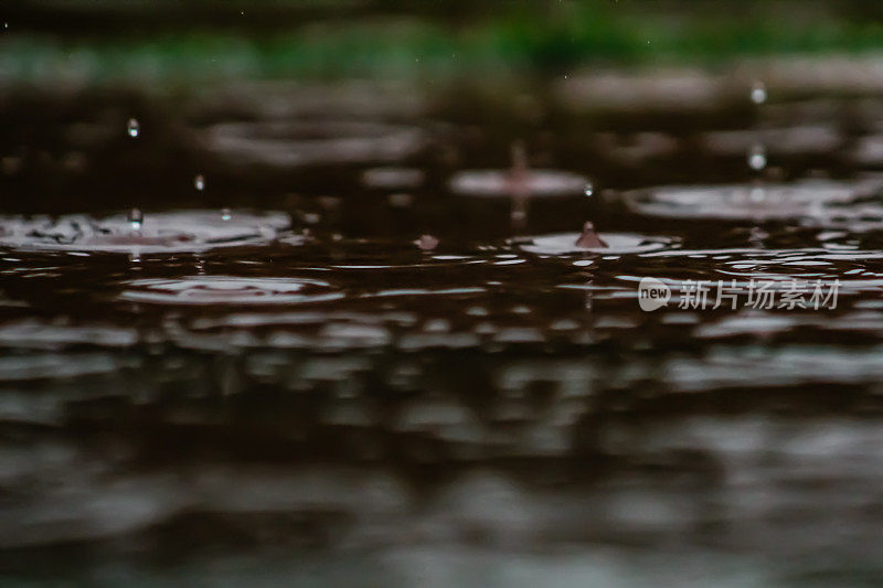 水坑里的近距离雨水