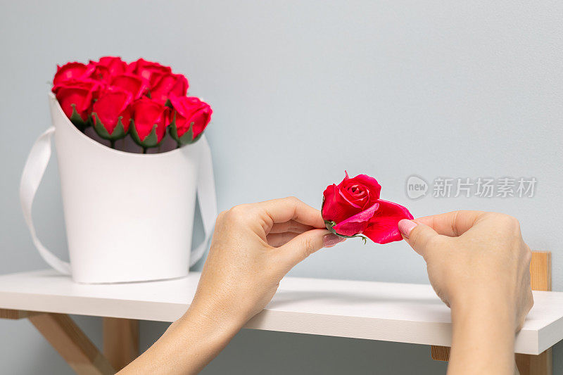 一个女人的手从玫瑰上扯下一片花瓣