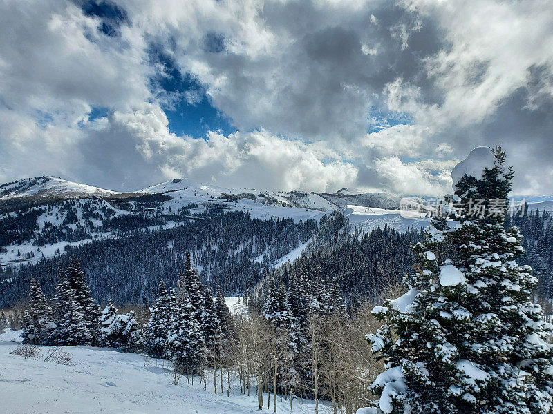 冬季滑雪道的景色，鹿谷度假村，帕克城，犹他州。