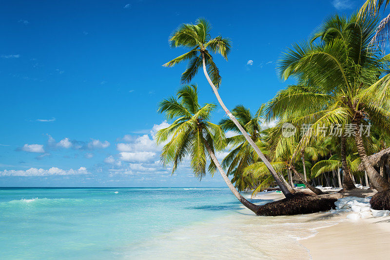 多米尼加共和国绍纳岛的加勒比海滩