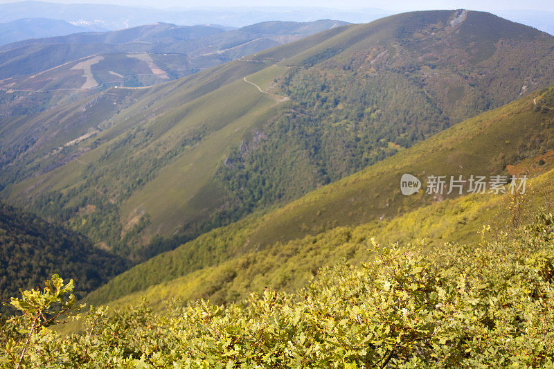 橡树和山。