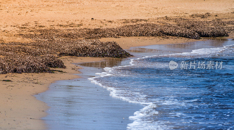 海洋和沙滩