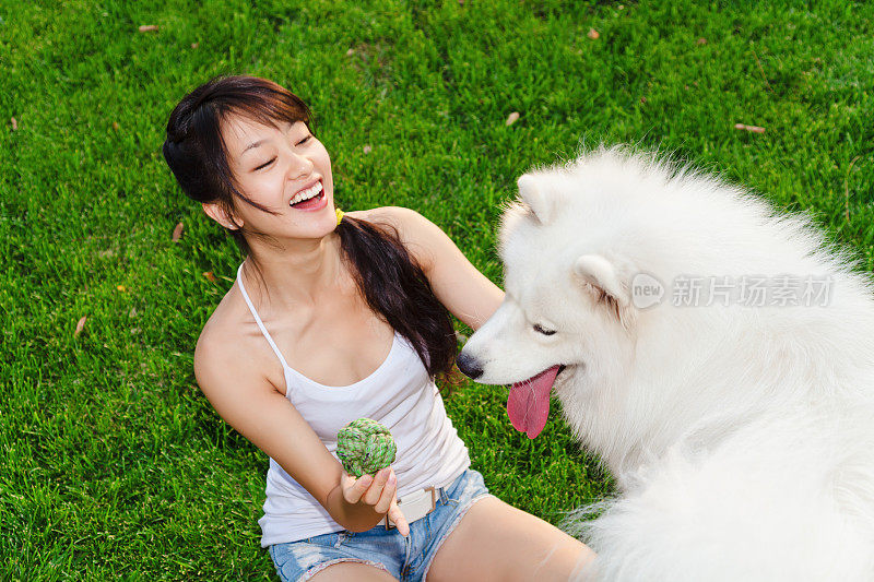 女孩和她的萨摩耶狗在草地上玩