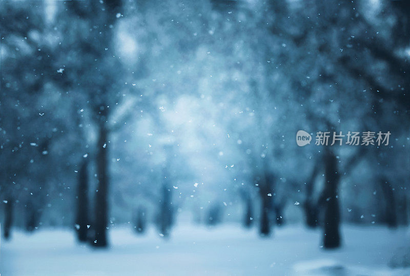 自然背景-蓝色的冬天和雪景