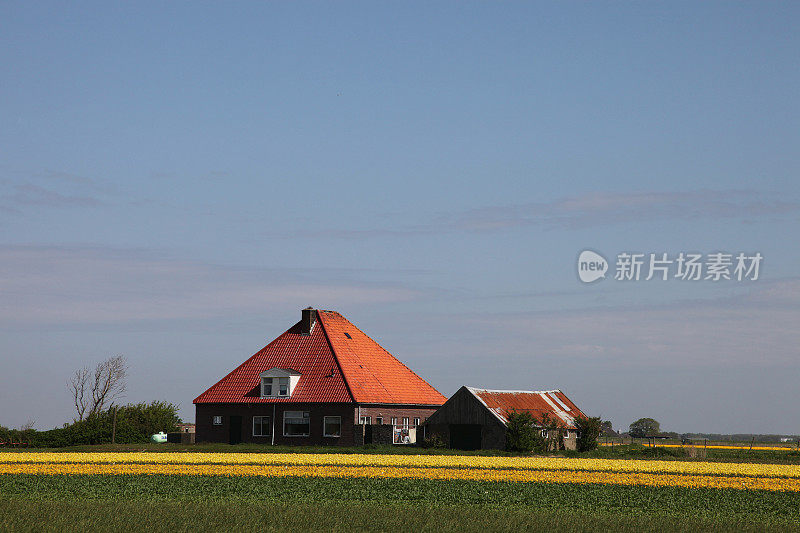 荷兰的农场的房子