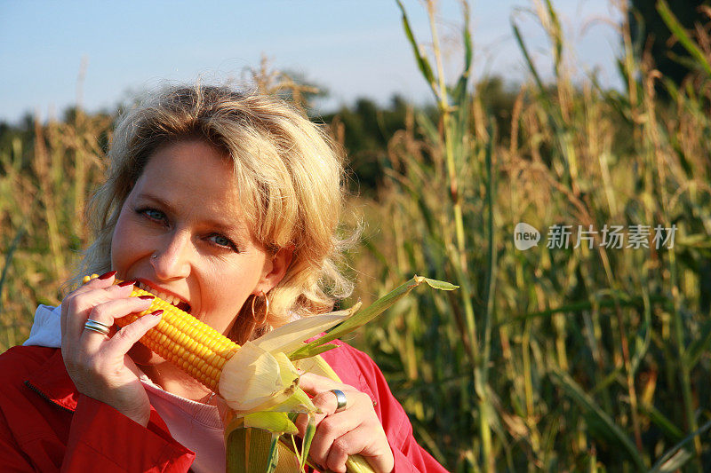 玉米地里的女人