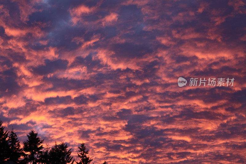 《夕阳下灿烂的云彩》