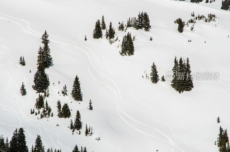高山粉末雪上的新鲜滑雪轨迹