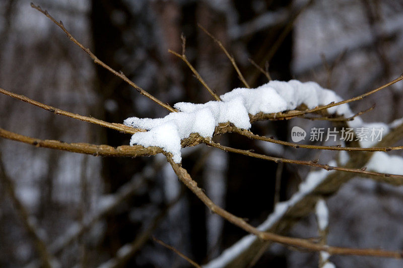 第一场雪