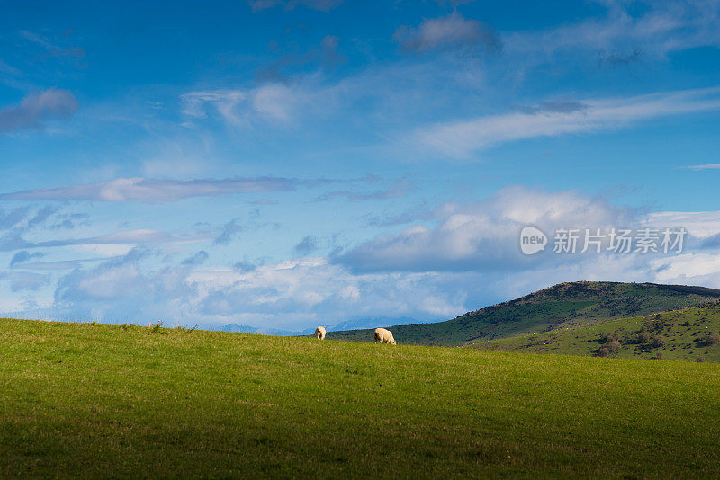 昆斯敦南岛法玛斯的全景