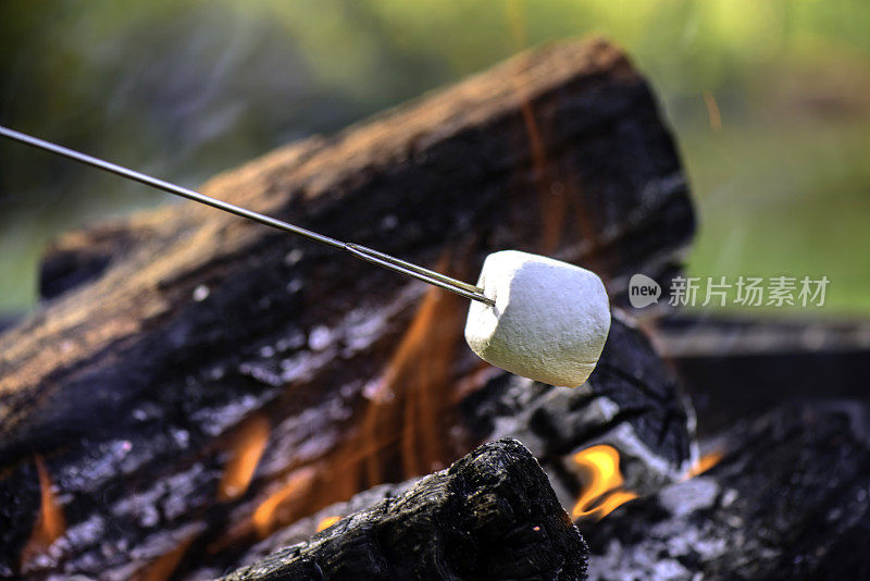 烹饪Marshmellow