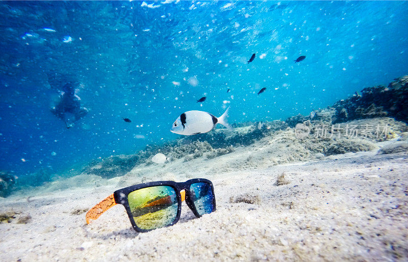 太阳镜在海底与鱼和潜水员