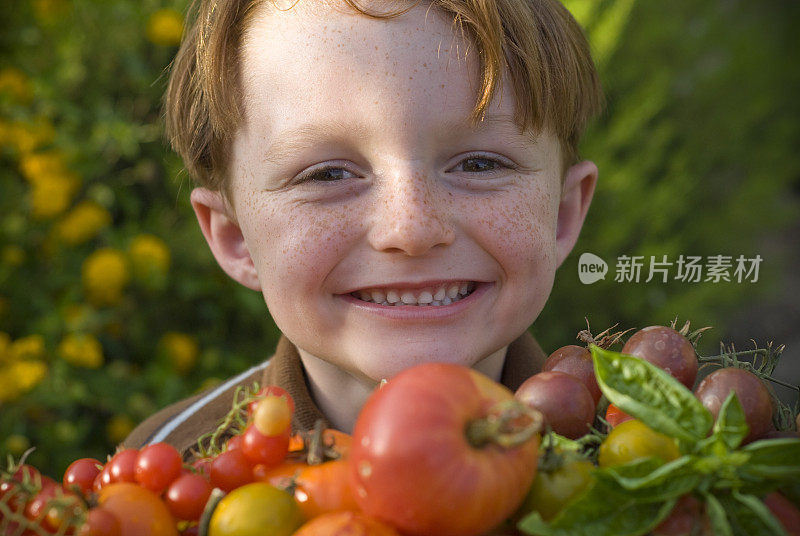 孩子园丁，男孩和自家培育的传家宝西红柿蔬菜