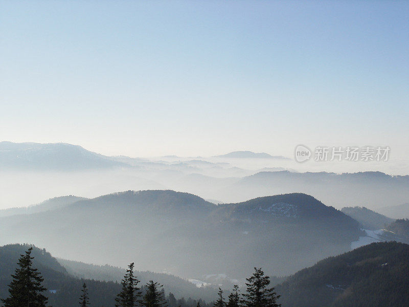 冬天的景观与雪和冷杉在黑森林