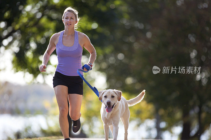 黄色拉布拉多犬和在人行道上慢跑的女人。