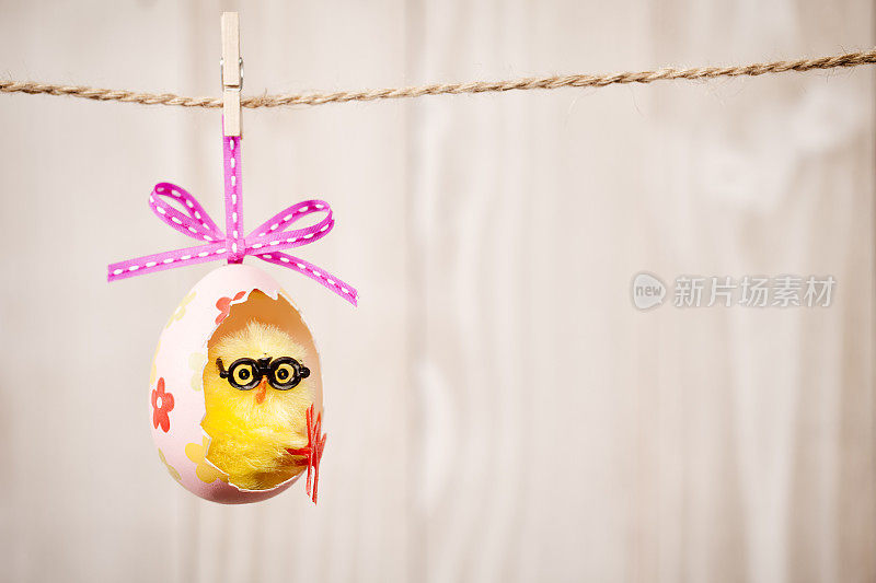 复活节鸡蛋鸡挂在晾衣绳上