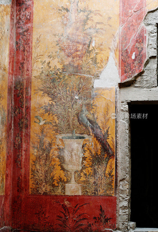 波普在奥普隆蒂斯别墅的罗马壁画