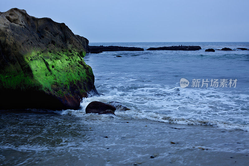 加利福尼亚南部海岸线上布满苔藓的岩石