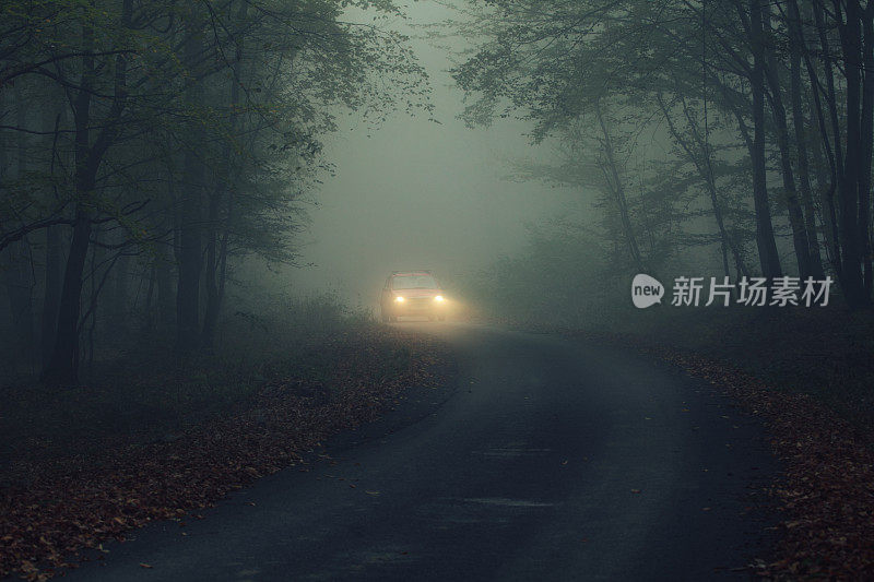雾天夜里的汽车