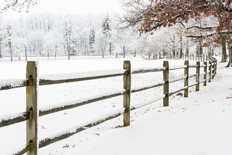 白雪覆盖的篱笆和树木旁边的田地-XXXL