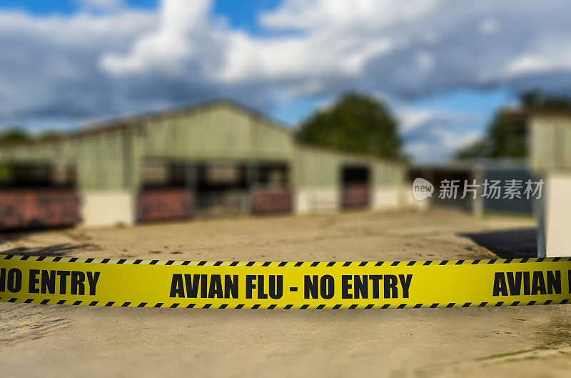 禽流感-禁止入境-农场关闭