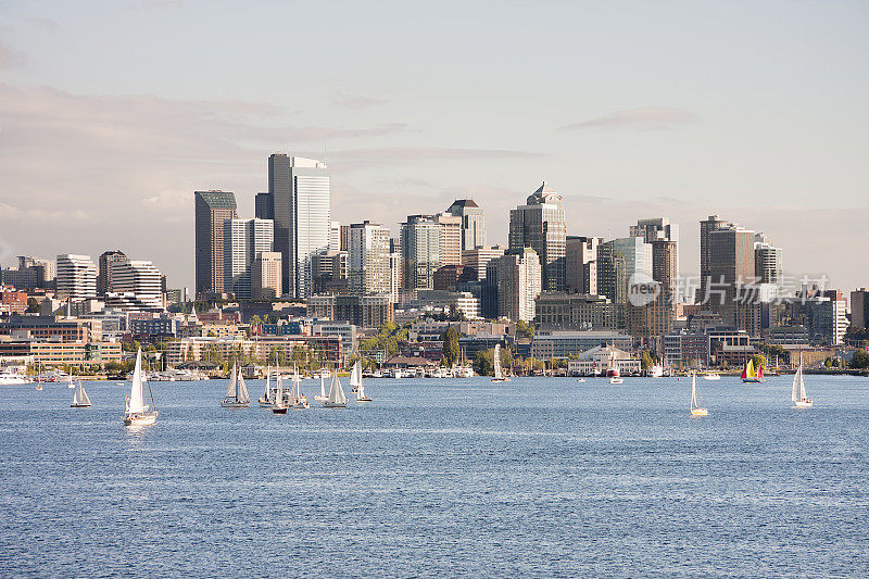 帆船拉格塔与西雅图市中心的背景