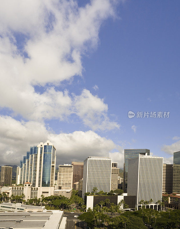 夏威夷:火奴鲁鲁金融区天际线