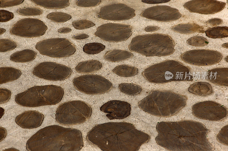 法国滨海布洛涅的原木装饰混凝土道路