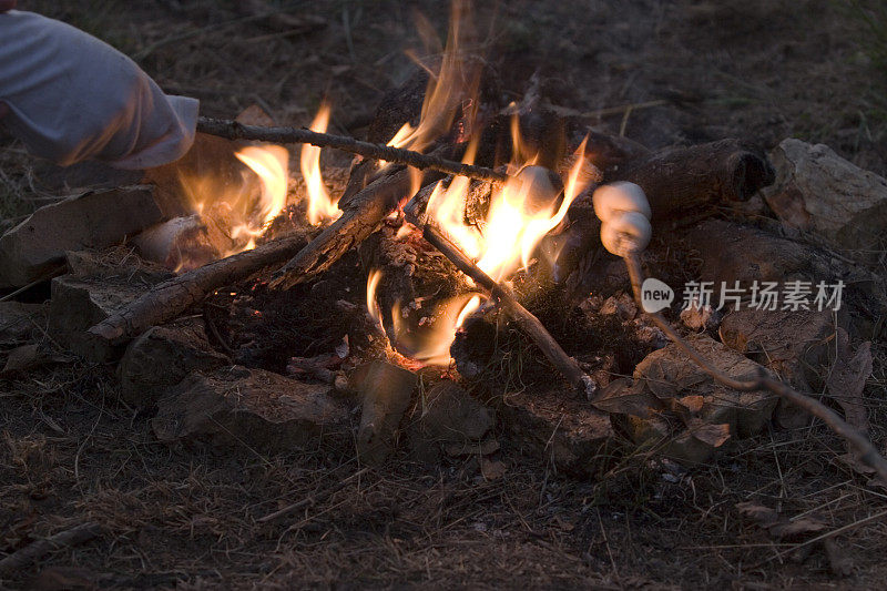 孩子们烤棉花糖