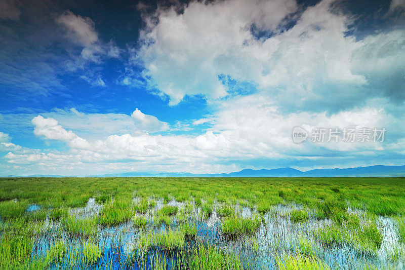 草原和地平线