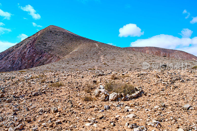 红山富埃特文图拉的北火山——加那利群岛