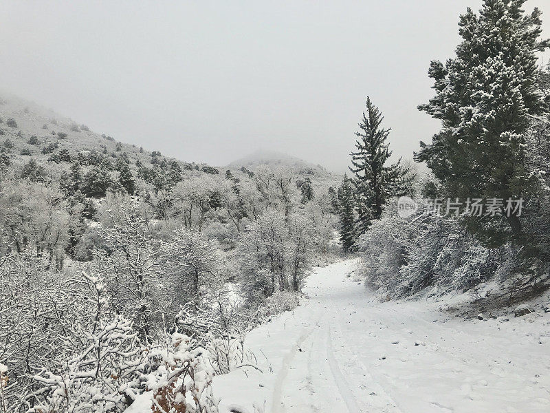 白色风景-科罗拉多州西部高海拔冬季降雪