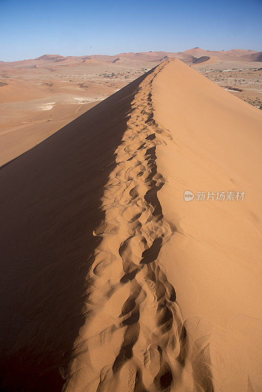 大爹地-世界上最高的沙丘