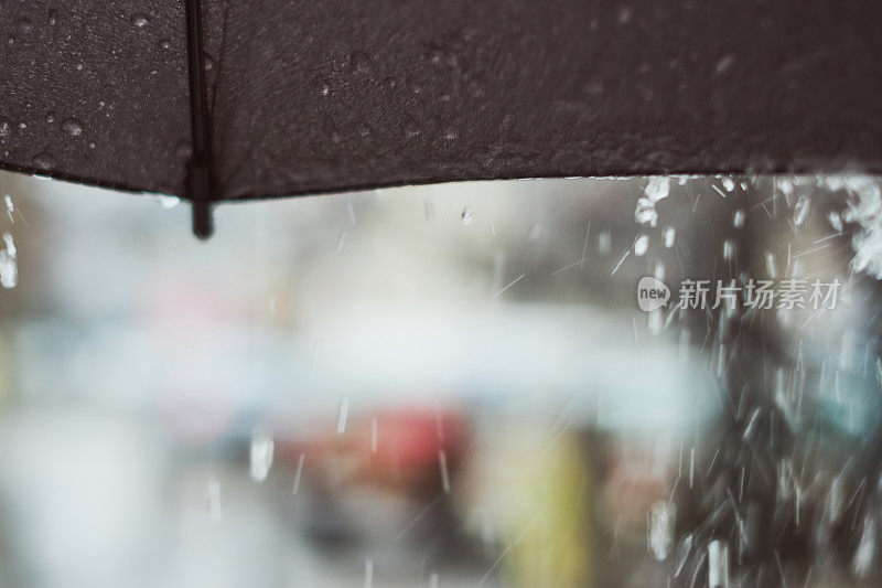 下雨的春日下了一把伞