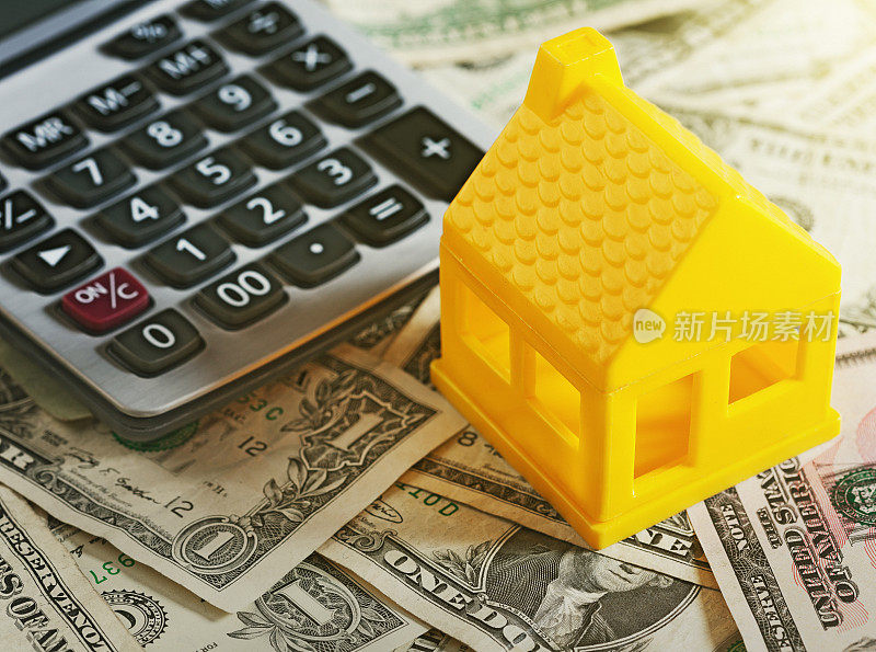 玩具房子和计算器的美元:住房融资
