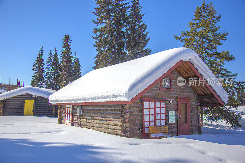 雪景,雪,树,小木屋