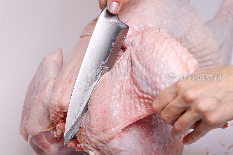 准备一只火鸡。女性手中的刀刃上带着肥肉的钢刀切着翅膀。