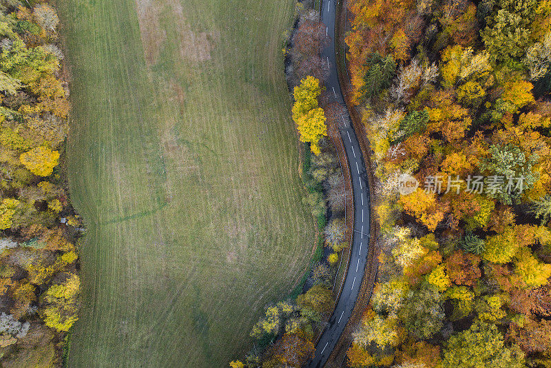 穿越秋天森林的道路-鸟瞰图