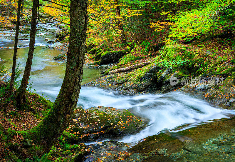 佛蒙特州绿色山脉的秋天山间溪流