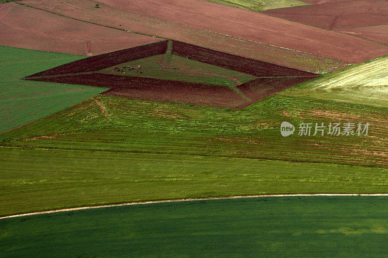 从直升机上看几何种植园