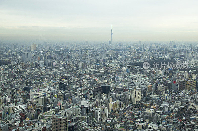 东京从上面