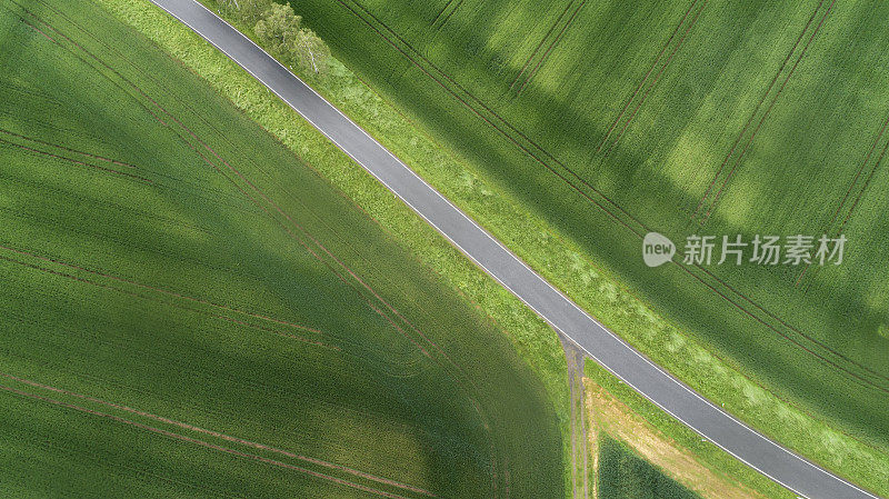 穿过农田的道路-鸟瞰图